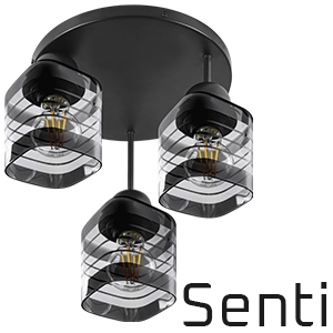 Senti