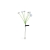 Lampa LED solarna wbijana grzyby 6xLED 72cm-35974