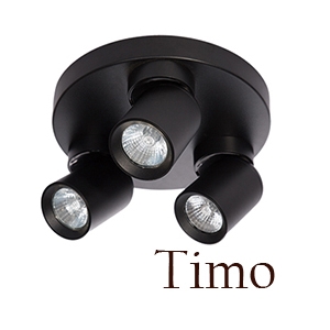 Timo